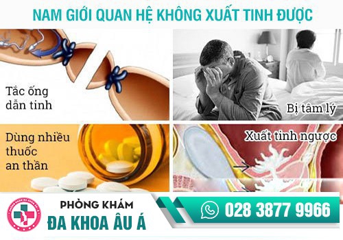 Nguyên nhân gây bệnh khó xuất tinh 